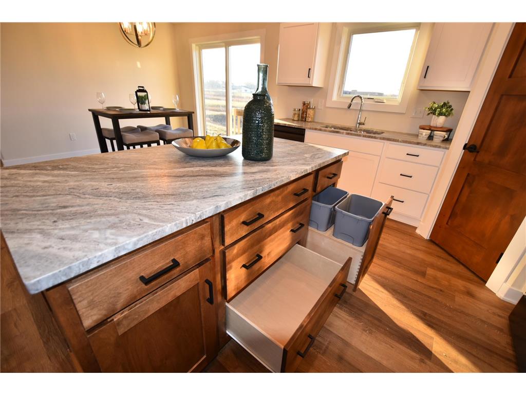 2215 Elk Run Drive SE Pine Island MN 55963 6810690 image16