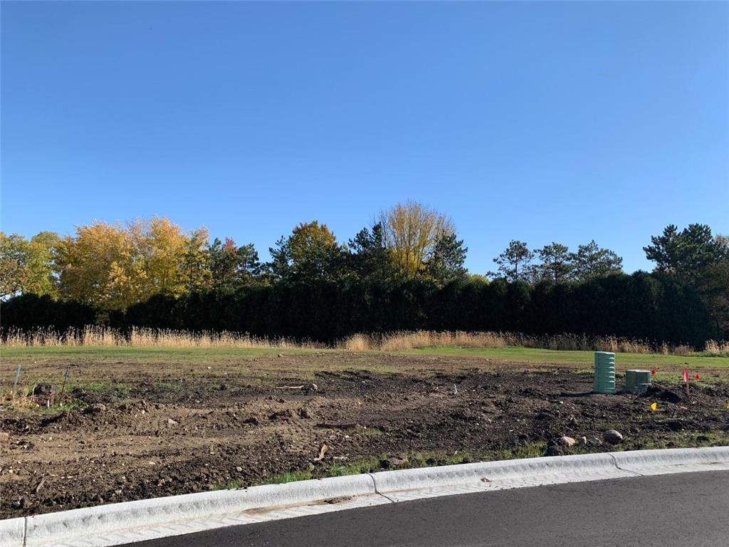 2215 NE Maple Leaf Lane Owatonna MN 55060 6160244 image1