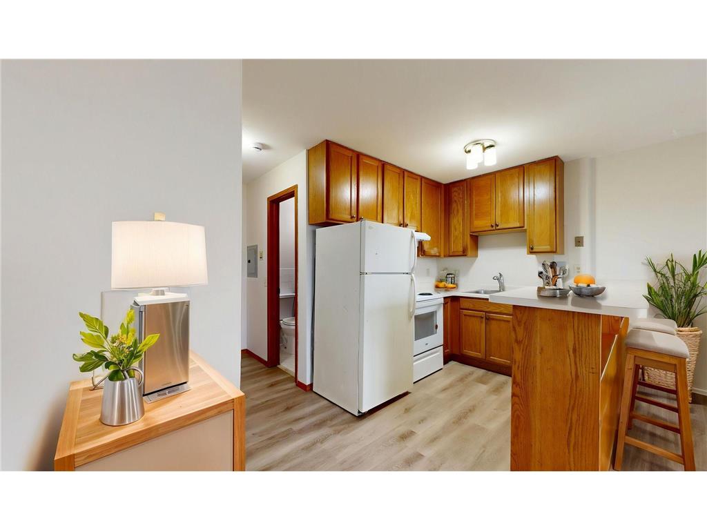 2216 Pleasant Avenue #205 Minneapolis MN 55404 7020756 image2