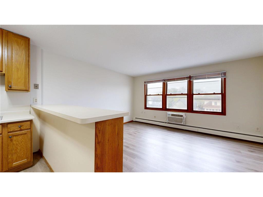 2216 Pleasant Avenue #205 Minneapolis MN 55404 7020756 image4