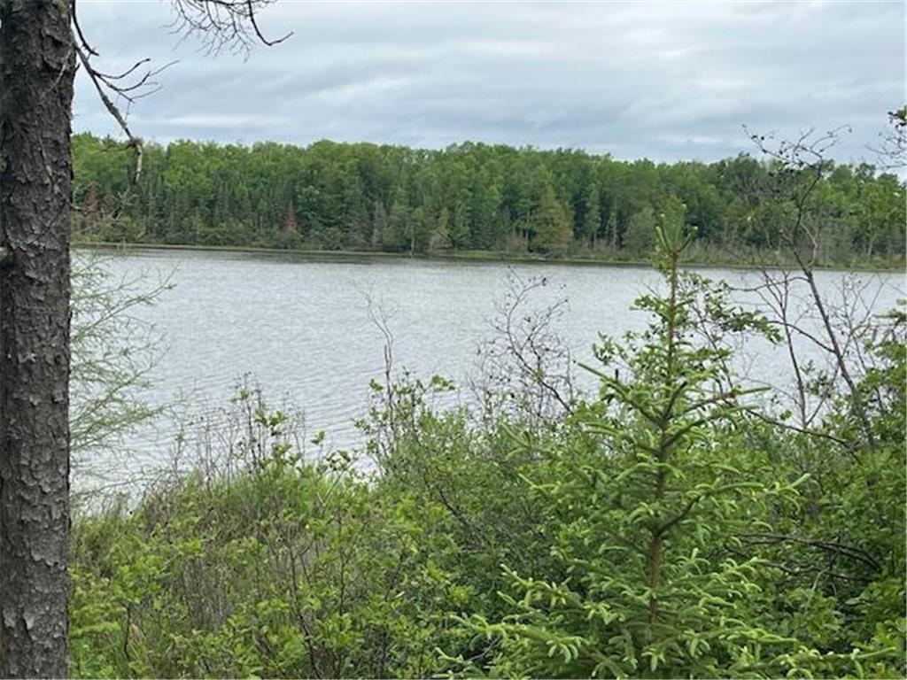 2217 Michaels Beach Road Ellsburg Twp MN 55738 - West Stone 6743538 image29