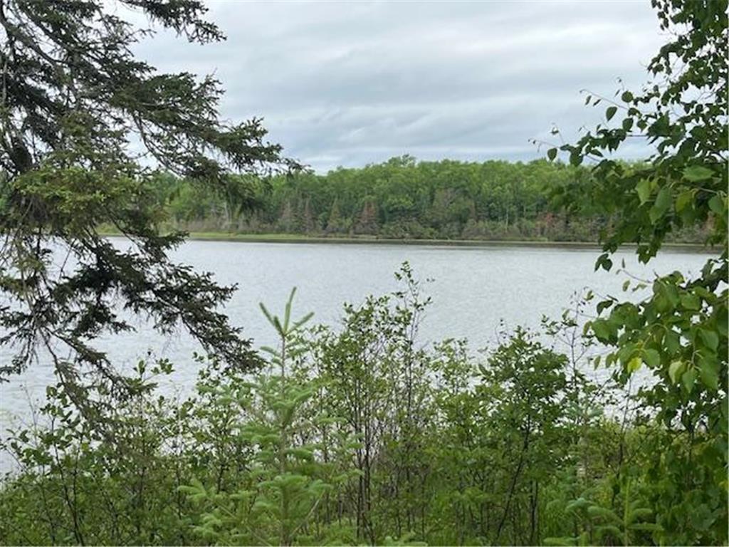 2217 Michaels Beach Road Ellsburg Twp MN 55738 - West Stone 6743538 image32