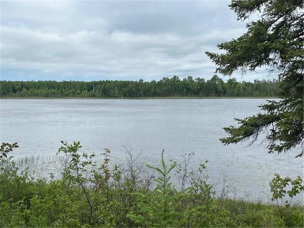 2217 Michaels Beach Road Ellsburg Twp MN 55738 - West Stone 6743538 image33