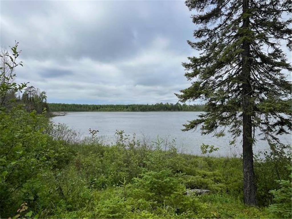 2217 Michaels Beach Road Ellsburg Twp MN 55738 - West Stone 6743538 image34