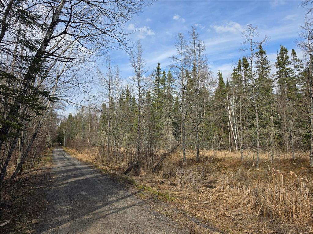 2217 Michaels Beach Road Ellsburg Twp MN 55738 - West Stone 7068104 image33