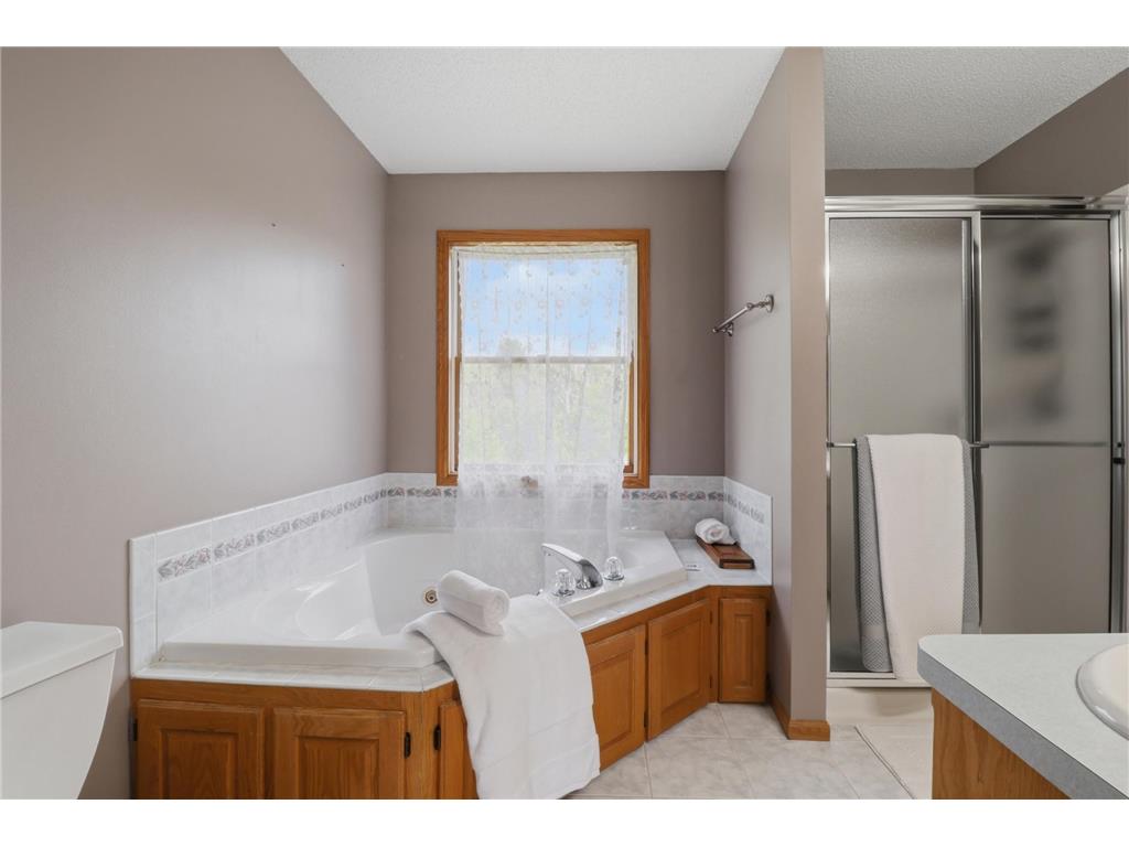 22171 Jason Avenue N Forest Lake MN 55025 - Forest 7089064 image29