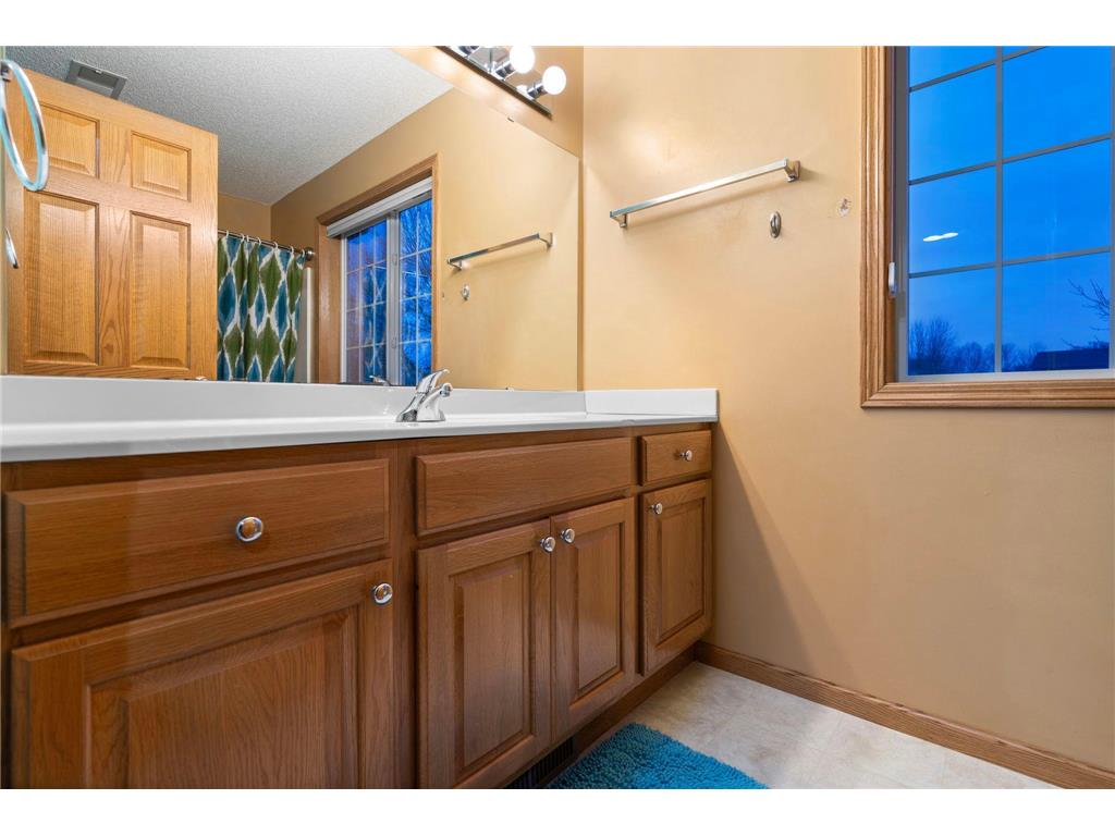 22181 Marie Avenue Rogers MN 55374 7030030 image38