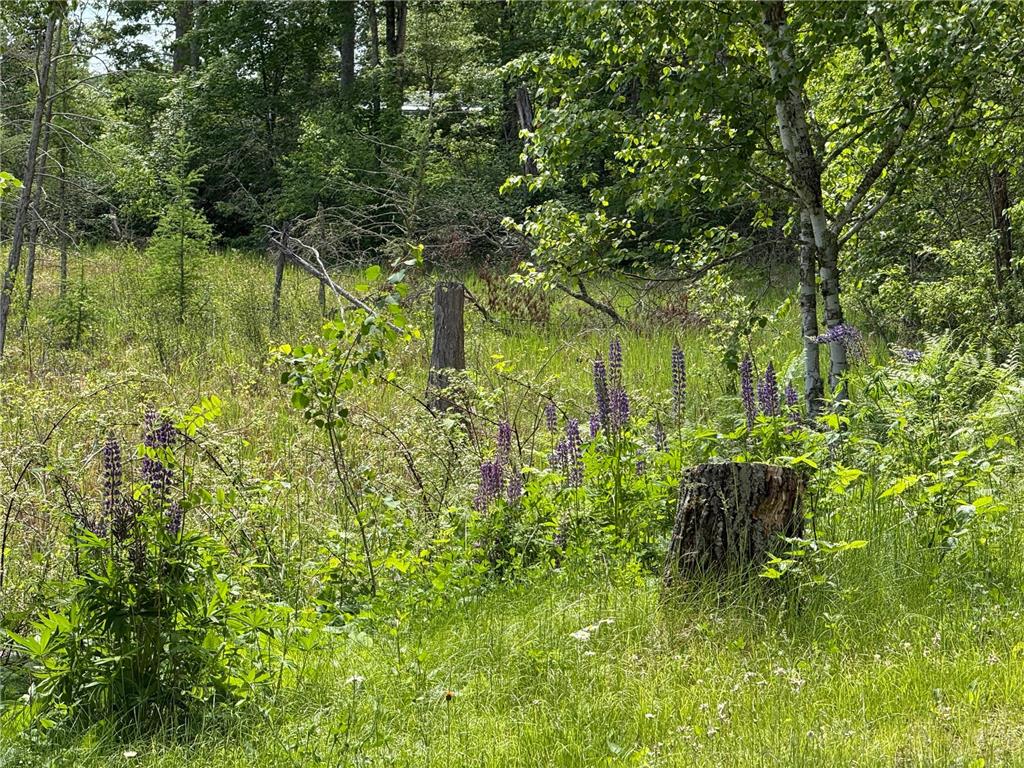 22194 537th Lane Mcgregor MN 55760 7089771 image36
