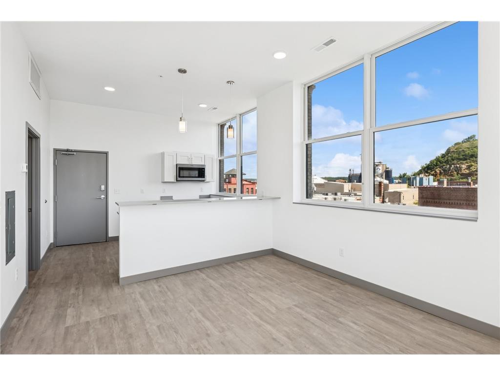 222 Bush Street #303 Red Wing MN 55066 6678711 image10