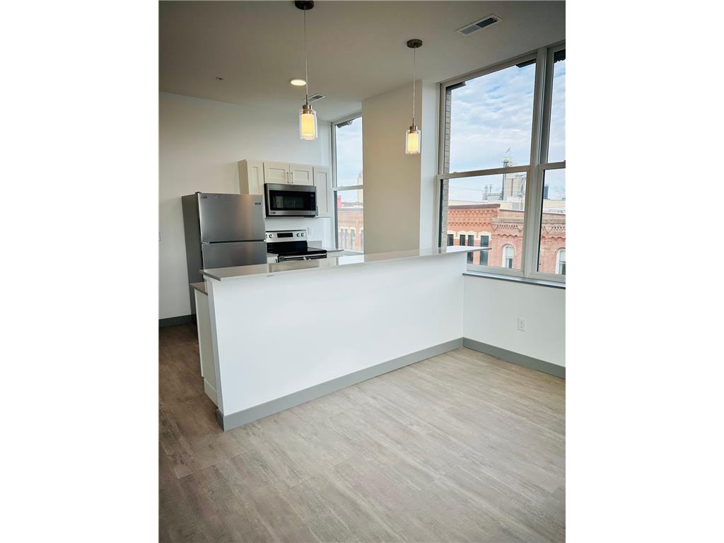 222 Bush Street #303 Red Wing MN 55066 6678711 image8