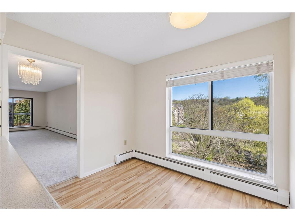 2221 Youngman Avenue #501 Saint Paul MN 55116 7042230 image9