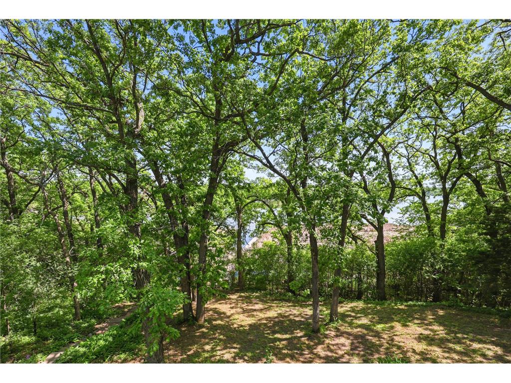 22225 Big Lake Court Richmond MN 56368 - Big Lake 7083653 image44