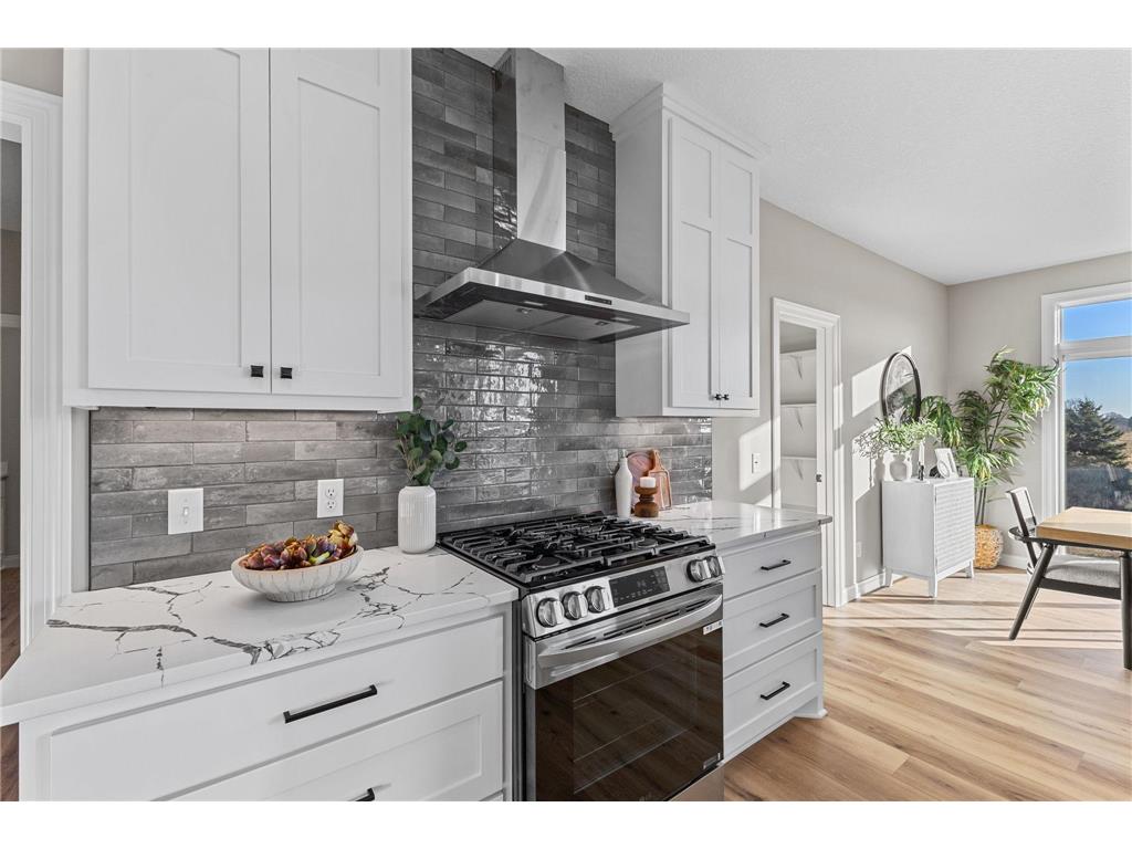 22232 Xenia Street Oak Grove MN 55011 6801384 image15