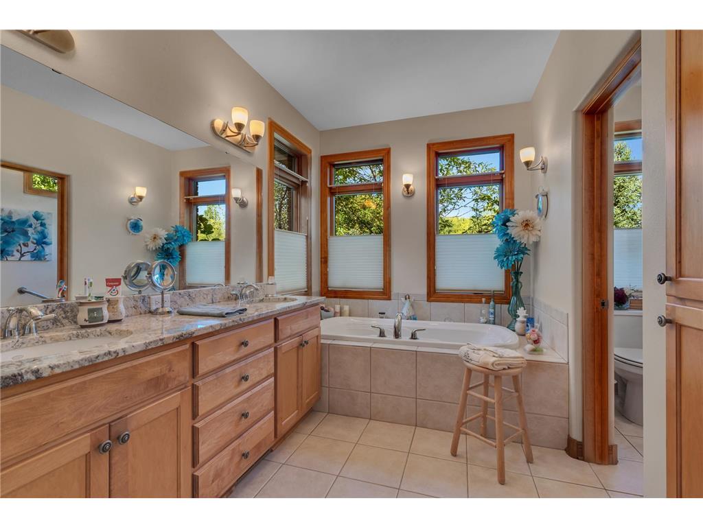 22235 Ridgeview Drive Saint Augusta MN 56301 6787276 image37