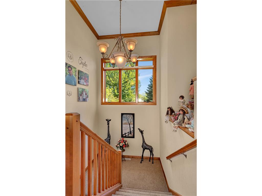 22235 Ridgeview Drive Saint Augusta MN 56301 6787276 image46