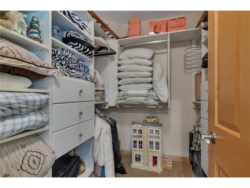 22235 Ridgeview Drive Saint Augusta MN 56301 6787276 image59