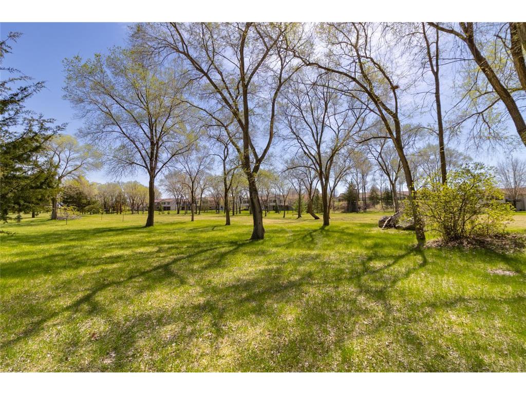 2224 Pinewood Drive Shakopee MN 55379 7027192 image33