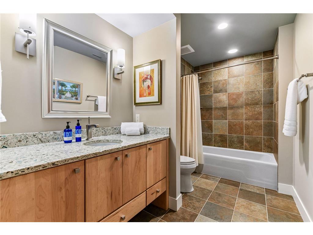 2224 Portico Green Minnetonka MN 55391 7070869 image48