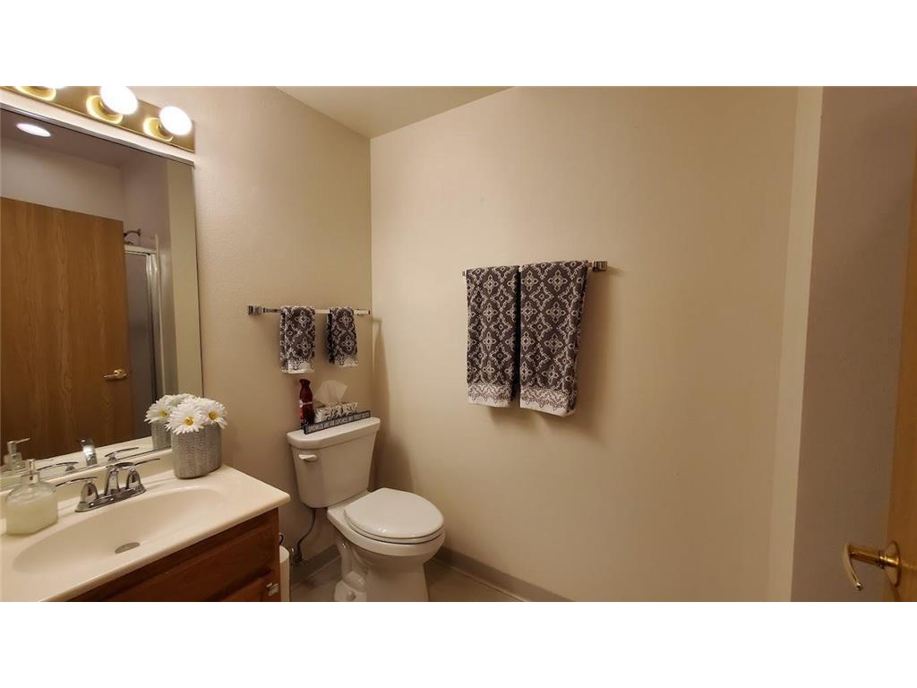 2226 Lower Afton Road E Saint Paul MN 55119 7005910 image20