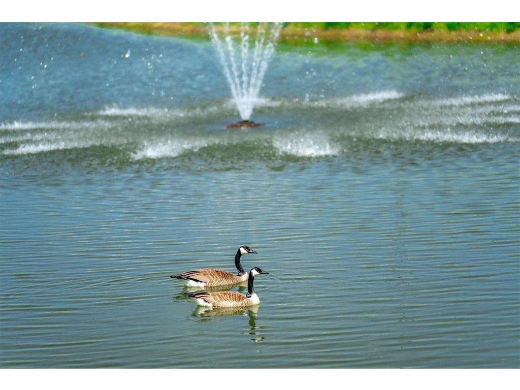 2229 Sharon Lane Hudson WI 54016 6710997 image11