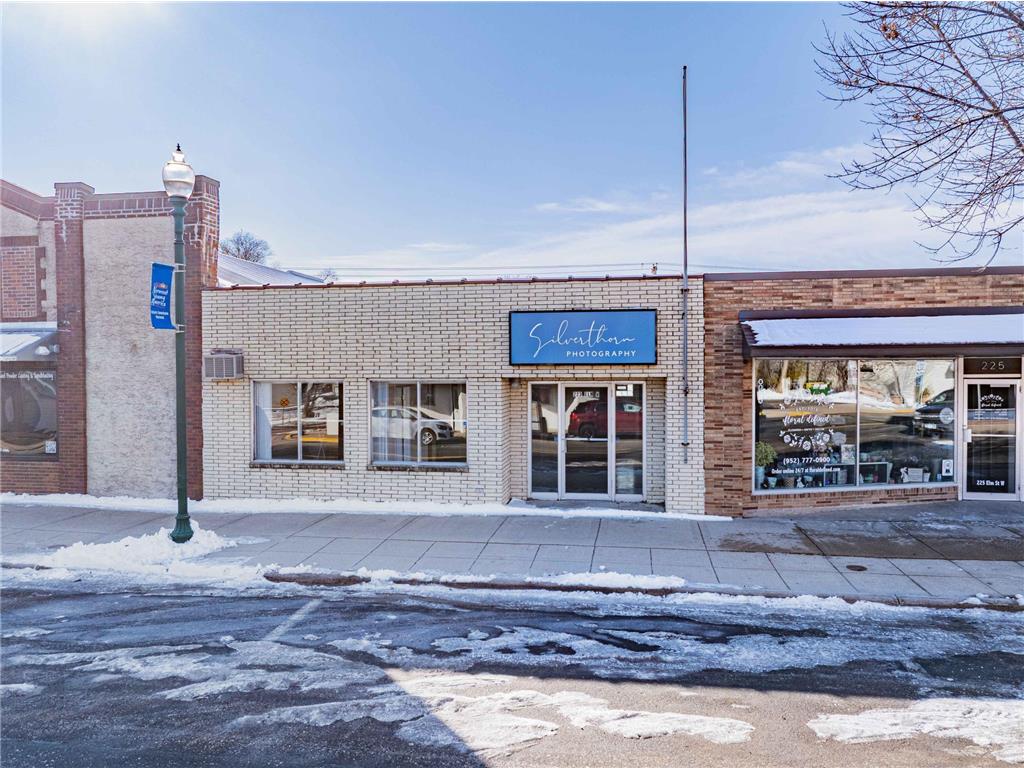 223 Elm Street W Norwood Young America MN 55368 7024412 image19