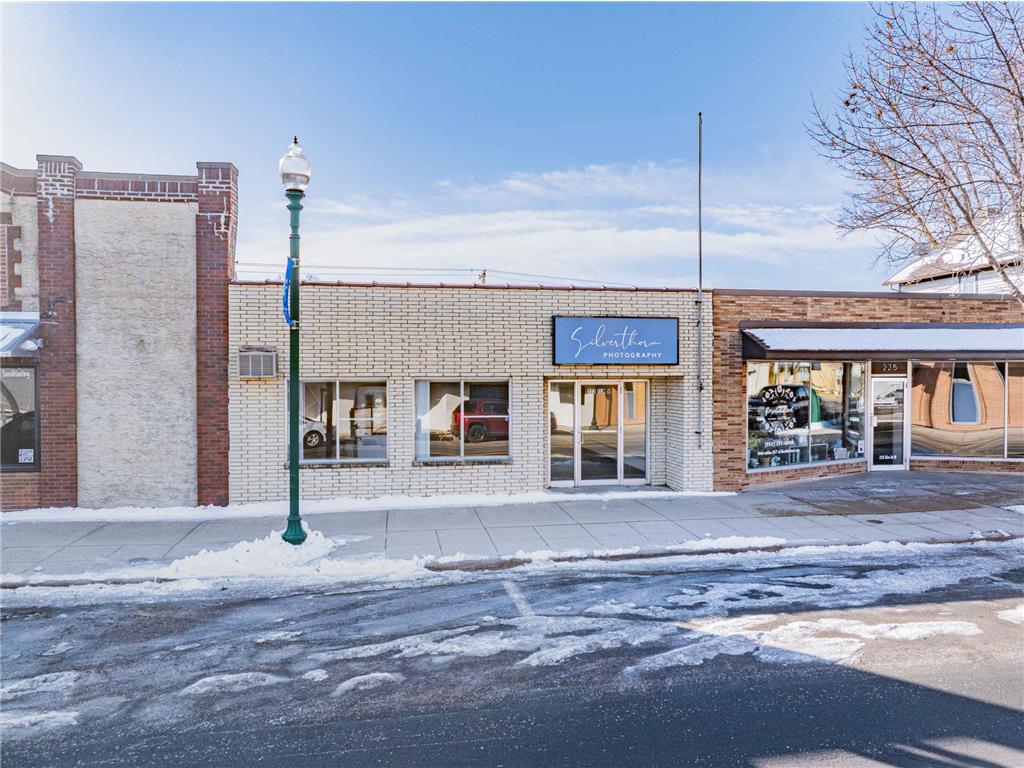 223 Elm Street W Norwood Young America MN 55368 7024412 image20