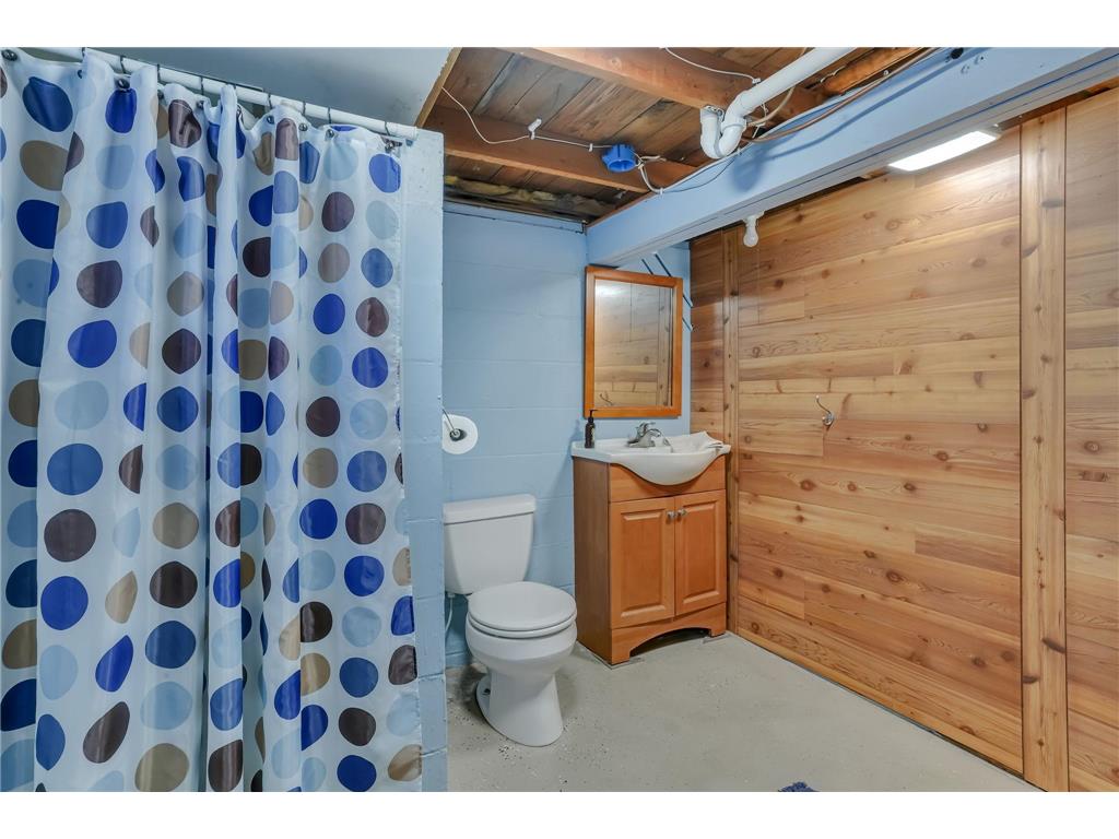 223 Lake Avenue S Spicer MN 56288 - Green 7070284 image25