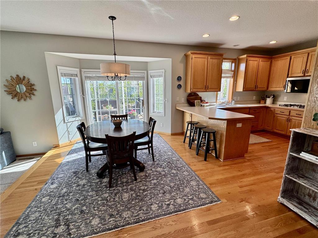 22301 Jasmine Way Rogers MN 55374 7073899 image6