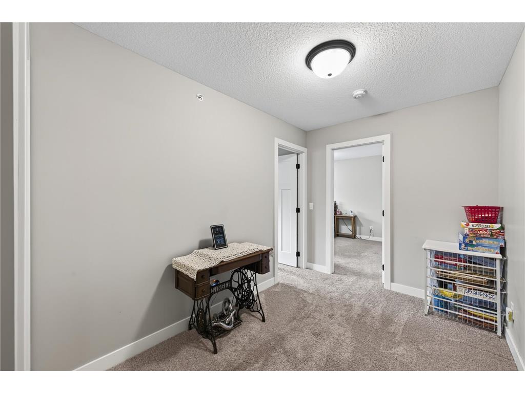 22308 Lilac Way Forest Lake MN 55025 7101134 image35