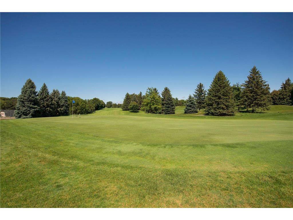 2231 Penn Place #209 North Saint Paul MN 55109 6795260 image47