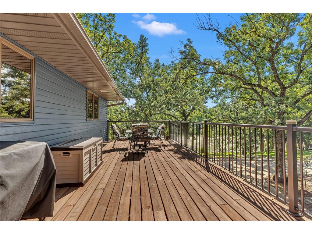 22314 Mallard Court Cold Spring MN 56320 - Schneider 6778182 image19