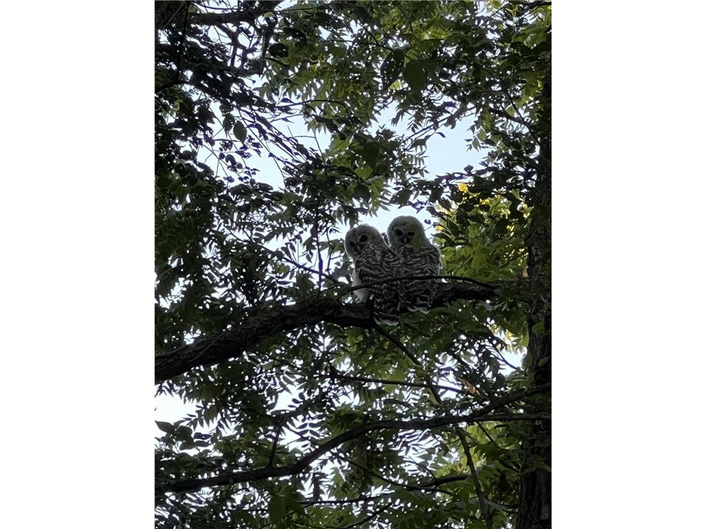 2233 Cedar Park Court SE Rochester MN 55904 6824782 image26