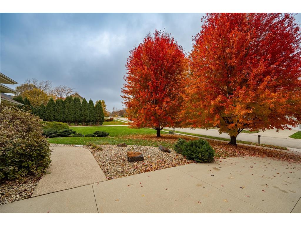 2234 Baihly Hills Drive SW Rochester MN 55902 6802736 image37