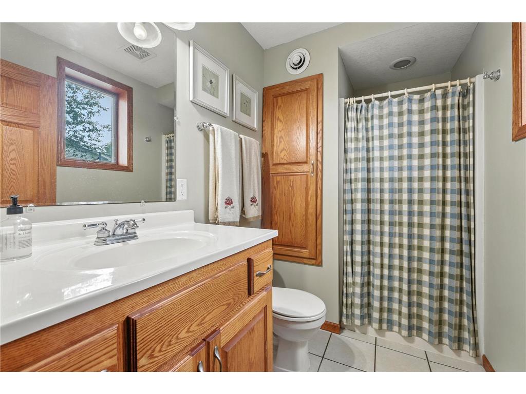 2234 Bluebird Lane Buffalo MN 55313 - Pulaski 7054556 image22