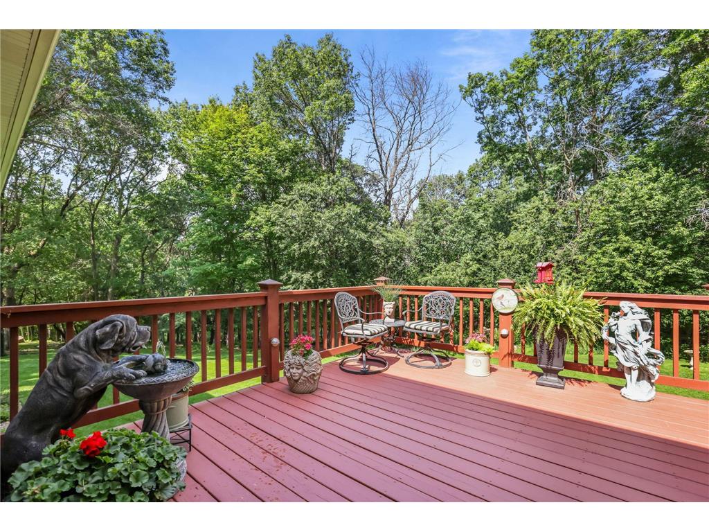 22342 Watson Circle NW Elk River MN 55330 7094497 image14