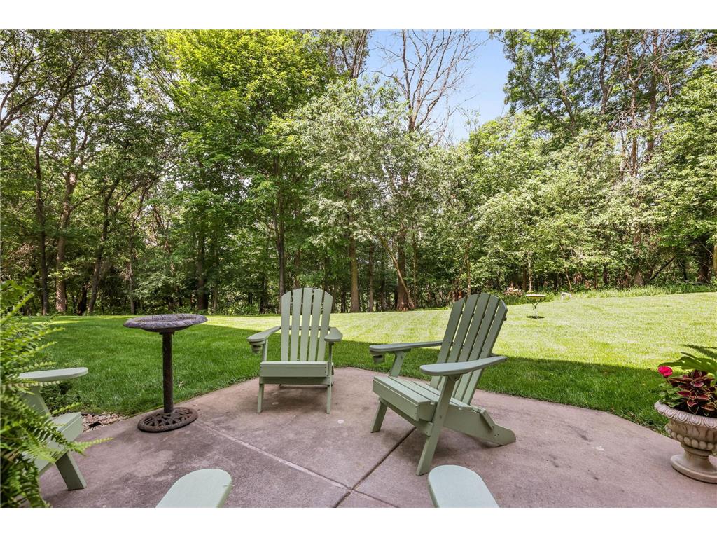 22342 Watson Circle NW Elk River MN 55330 7094497 image42