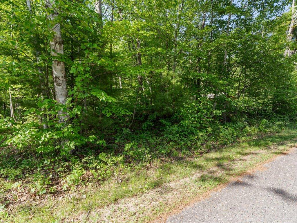 2236 Red Oak Lane Scandia Valley Twp MN 56466 - Crookneck 7081710 image28