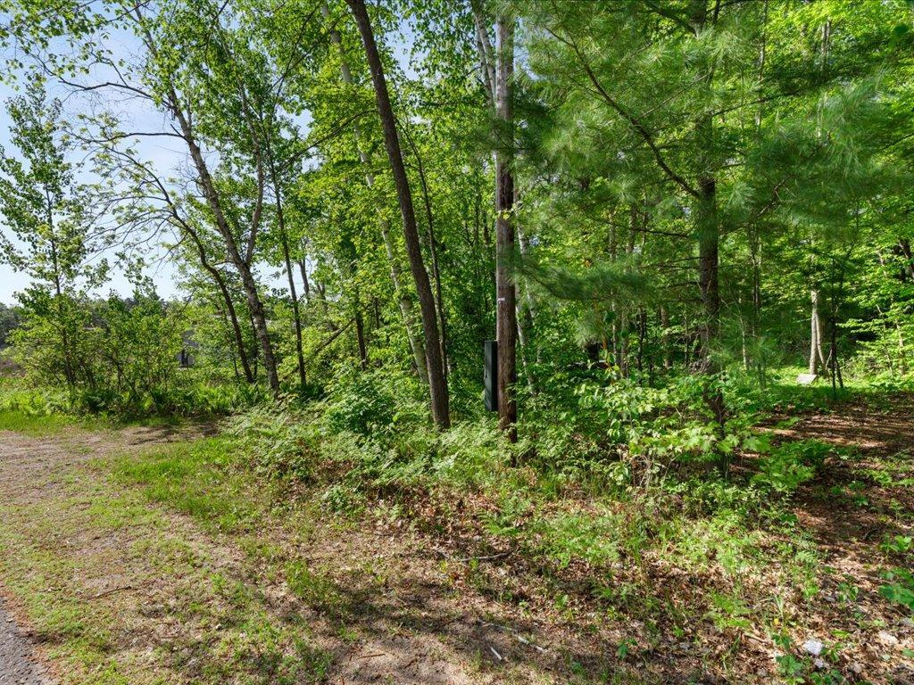 2236 Red Oak Lane Scandia Valley Twp MN 56466 - Crookneck 7081710 image29