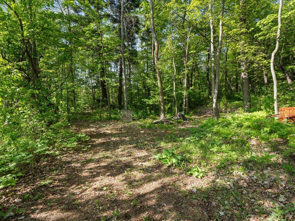 2236 Red Oak Lane Scandia Valley Twp MN 56466 - Crookneck 7081710 image30