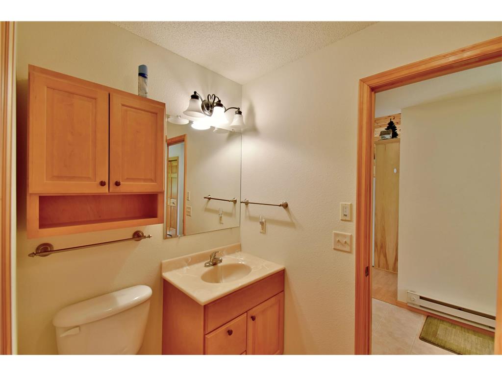 22387 Gooseberry Trail Long Prairie MN 56347 - Charlotte 7041739 image22