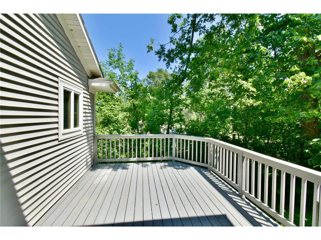 22387 Gooseberry Trail Long Prairie MN 56347 - Charlotte 7041739 image7