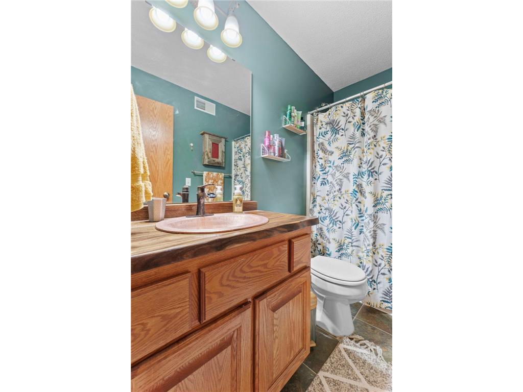 22388 Elston Avenue Forest Lake MN 55025 7055696 image13
