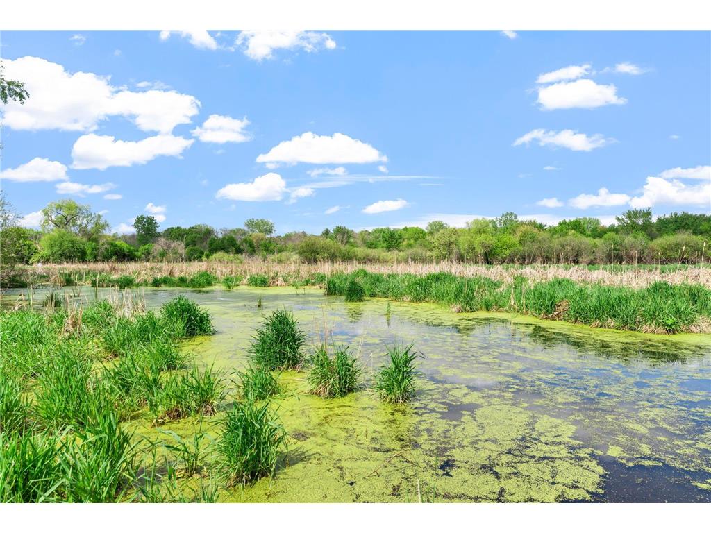 22388 Elston Avenue Forest Lake MN 55025 7055696 image26