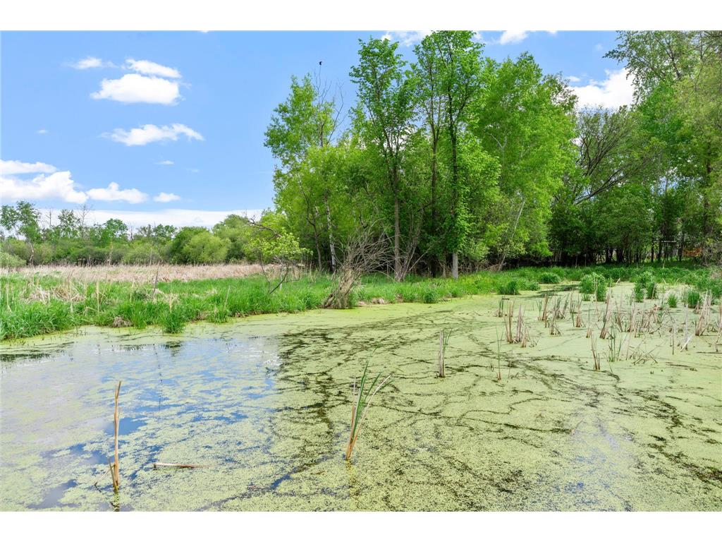 22388 Elston Avenue Forest Lake MN 55025 7055696 image27