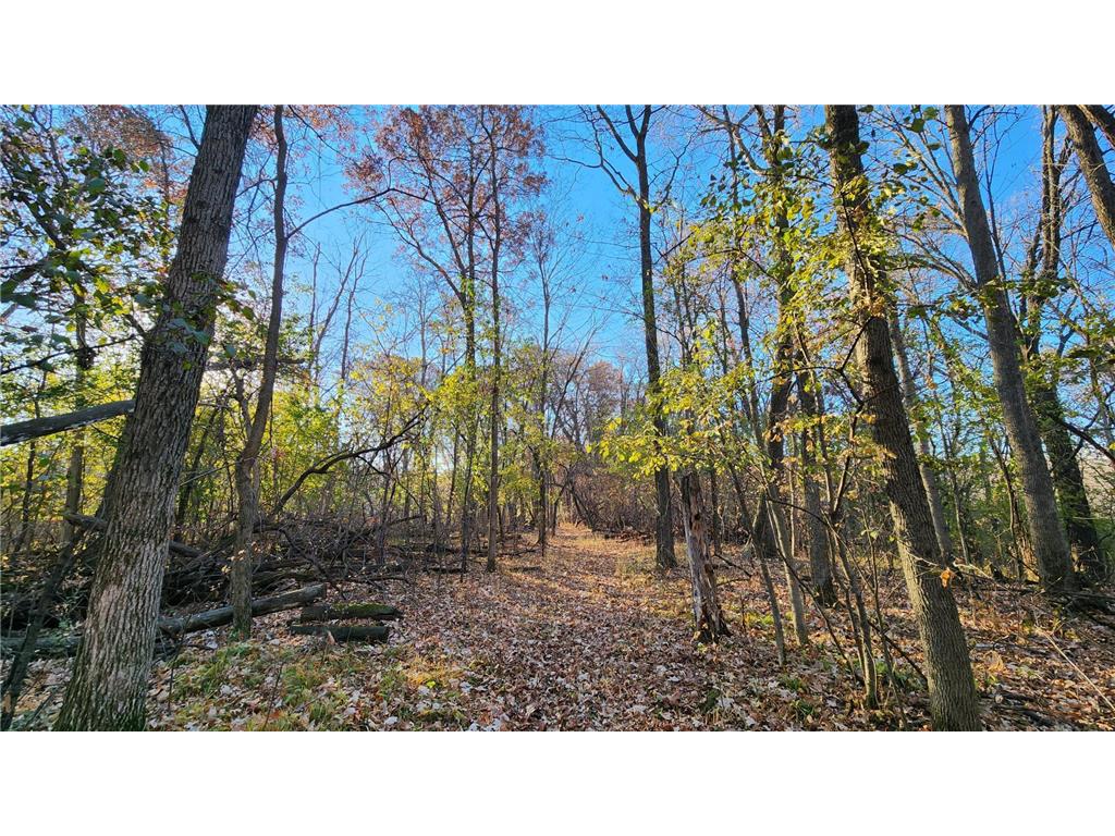 223yy Lake Boulevard, Oak Grove, MN, 55303 MLS 6311012