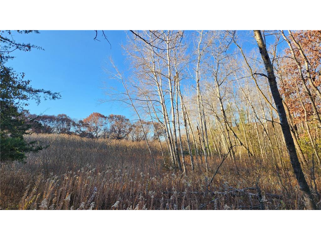 223zz Lake George Boulevard Oak Grove MN 55303 6305085 image1