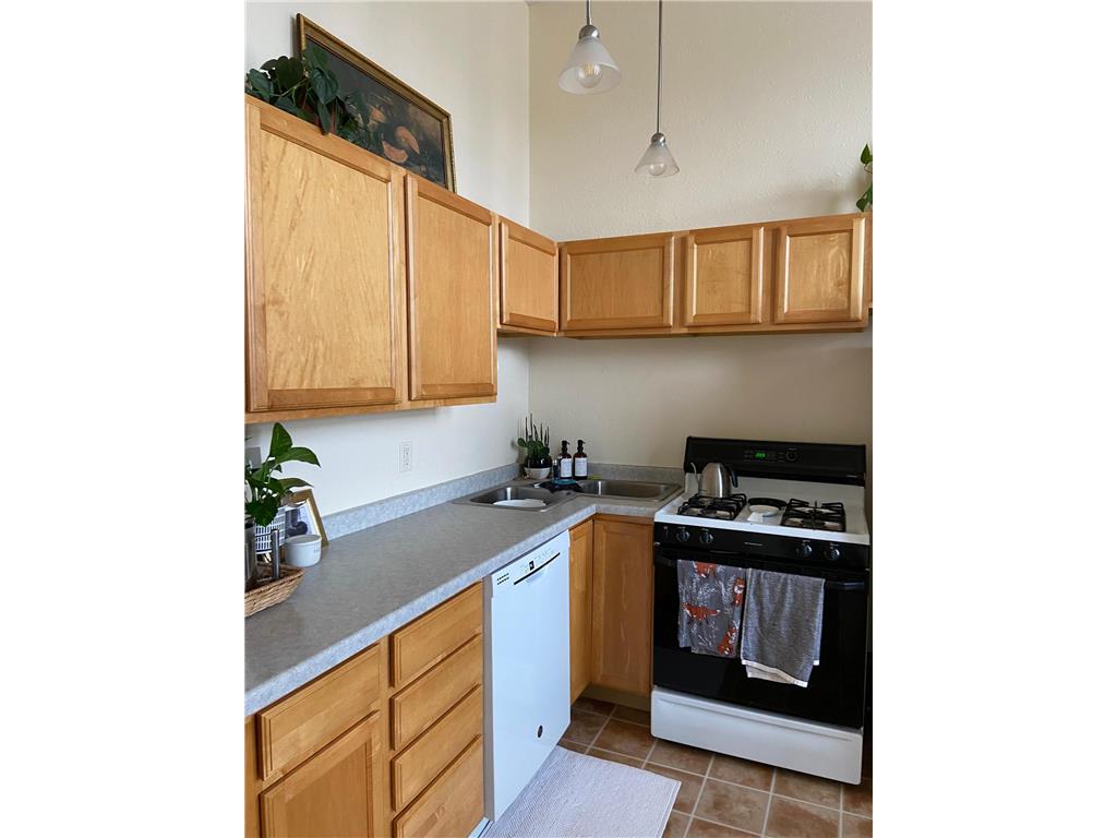 224 S Minnesota Avenue Saint Peter MN 56082 6819062 image29