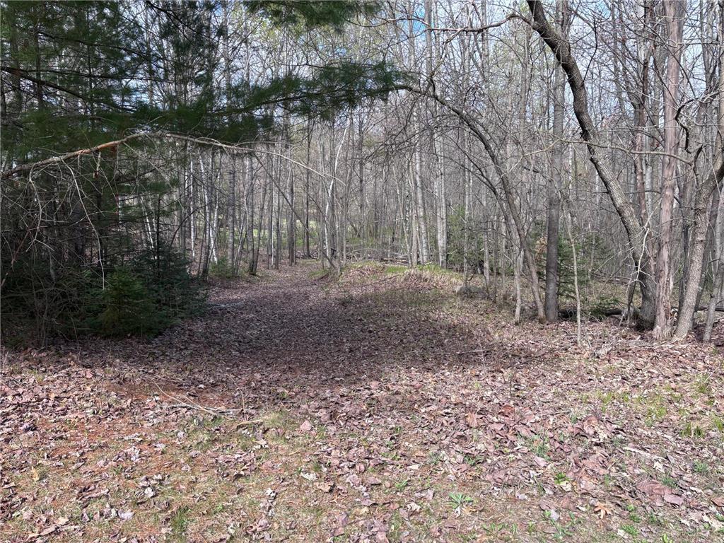 2240 240th Avenue Whited Twp MN 55051 - Snake River 7056882 image40