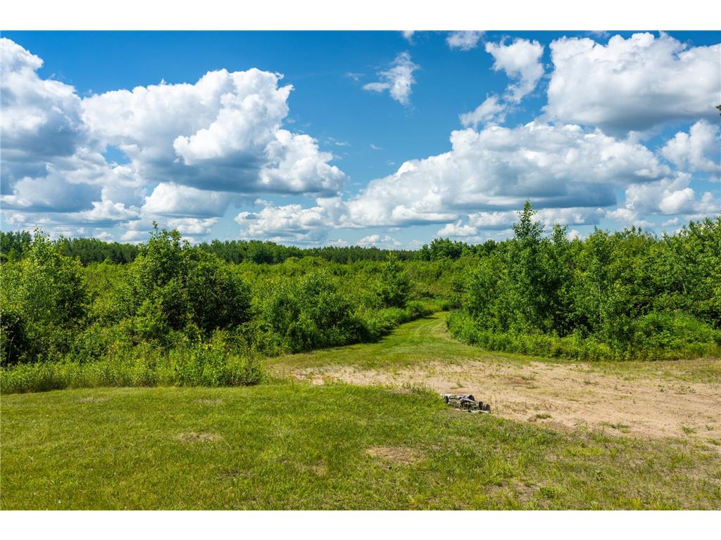 22415 Wilderness Drive Lyons Twp MN 56481 7101809 image14