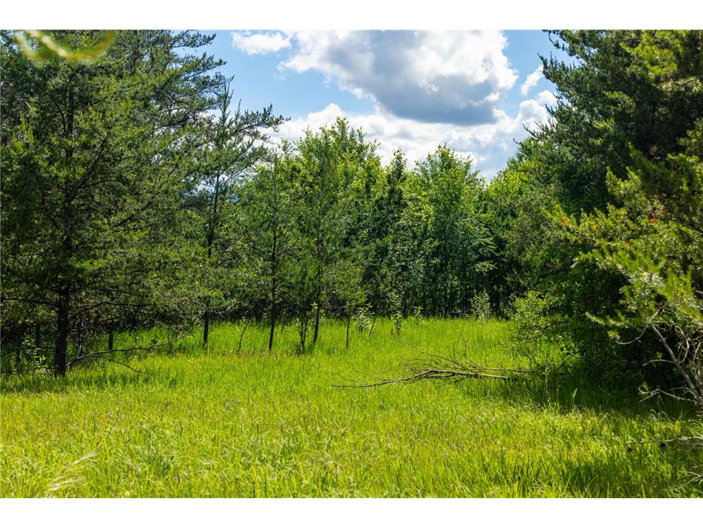 22415 Wilderness Drive Lyons Twp MN 56481 7101809 image20